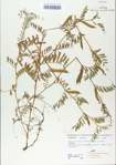 TTRS_000006515-thumbnail.jpg
