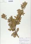 TTRS_000006866-thumbnail.jpg