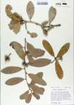TTRS_000006870-thumbnail.jpg