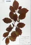 TTRS_000007176-thumbnail.jpg