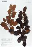 TTRS_000007178-thumbnail.jpg