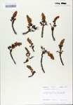TTRS_000007183-thumbnail.jpg