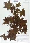 TTRS_000007187-thumbnail.jpg
