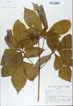 TTRS_000007189-thumbnail.jpg