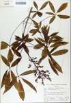 TTRS_000007190-thumbnail.jpg