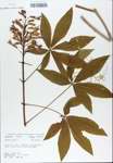 TTRS_000007191-thumbnail.jpg
