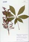 TTRS_000007192-thumbnail.jpg