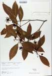 TTRS_000007205-thumbnail.jpg