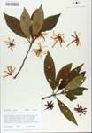 TTRS_000007206-thumbnail.jpg