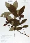 TTRS_000007214-thumbnail.jpg