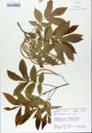 TTRS_000007215-thumbnail.jpg