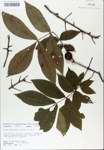 TTRS_000007216-thumbnail.jpg