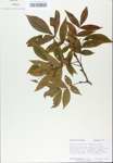 TTRS_000007218-thumbnail.jpg