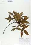 TTRS_000007221-thumbnail.jpg