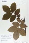 TTRS_000007239-thumbnail.jpg