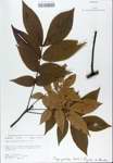TTRS_000007240-thumbnail.jpg