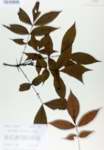 TTRS_000007242-thumbnail.jpg