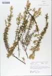 TTRS_000007280-thumbnail.jpg