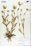 TTRS_000007338-thumbnail.jpg