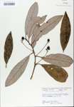 TTRS_000007473-thumbnail.jpg