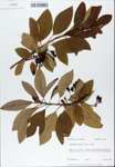 TTRS_000007479-thumbnail.jpg