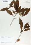 TTRS_000007482-thumbnail.jpg