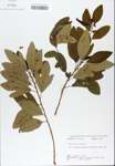 TTRS_000007483-thumbnail.jpg