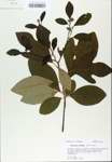 TTRS_000007484-thumbnail.jpg