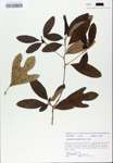TTRS_000007485-thumbnail.jpg