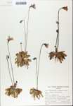 TTRS_000007493-thumbnail.jpg