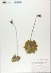 TTRS_000007497-thumbnail.jpg