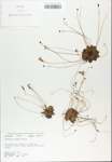 TTRS_000007500-thumbnail.jpg