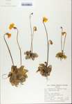 TTRS_000007503-thumbnail.jpg