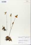 TTRS_000007507-thumbnail.jpg