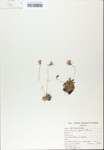 TTRS_000007513-thumbnail.jpg