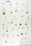 TTRS_000007514-thumbnail.jpg