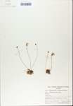 TTRS_000007516-thumbnail.jpg