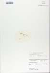 TTRS_000007518-thumbnail.jpg