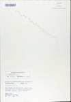 TTRS_000007519-thumbnail.jpg