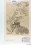 TTRS_000007524-thumbnail.jpg