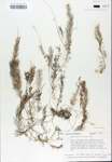 TTRS_000007526-thumbnail.jpg