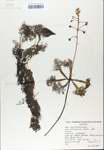 TTRS_000007530-thumbnail.jpg