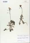 TTRS_000007531-thumbnail.jpg