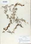 TTRS_000007534-thumbnail.jpg