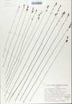 TTRS_000007537-thumbnail.jpg