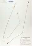 TTRS_000007538-thumbnail.jpg