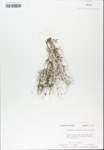 TTRS_000007539-thumbnail.jpg