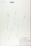 TTRS_000007545-thumbnail.jpg