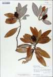 TTRS_000007671-thumbnail.jpg