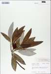 TTRS_000007673-thumbnail.jpg